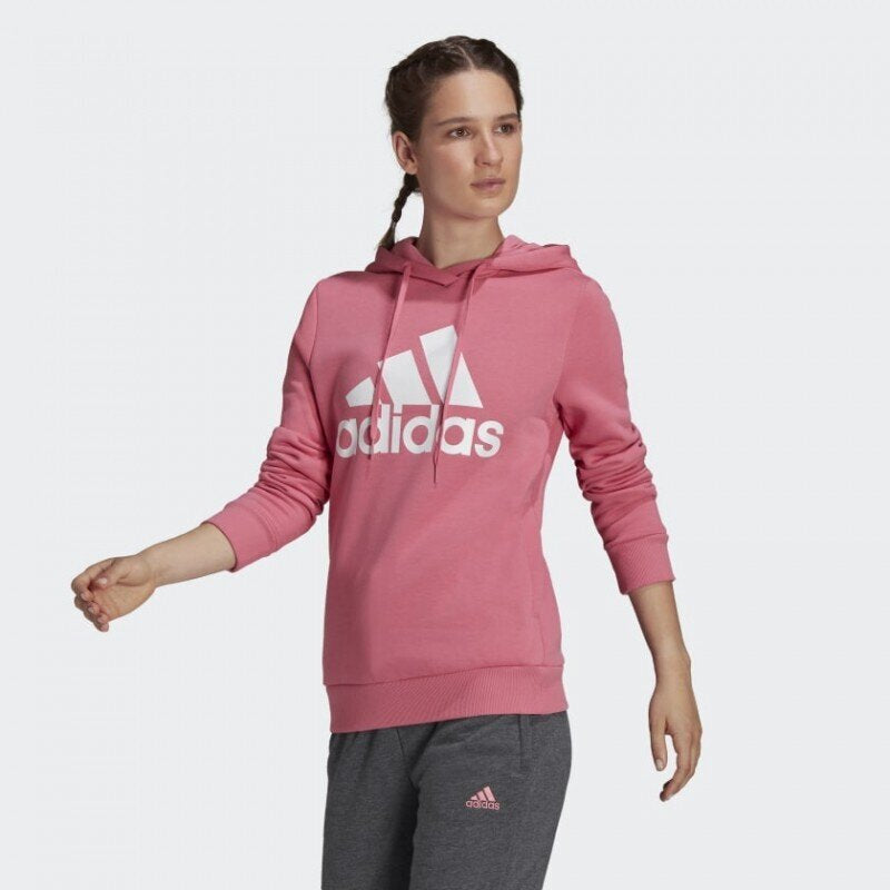Дамски Суитшърт Adidas W BL ESS HO7889