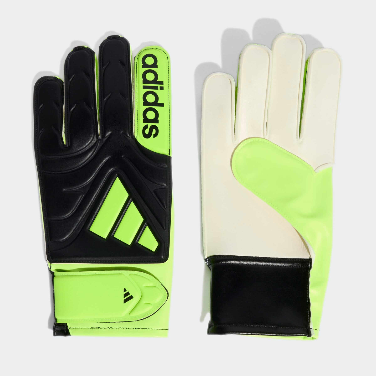 Вратарски Ръкавици Adidas COPA GL CLB JN5340